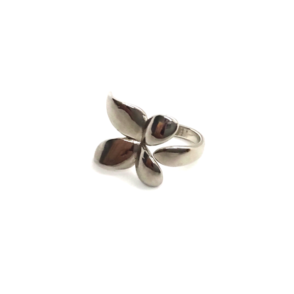 Anillo mesaria - Image 4