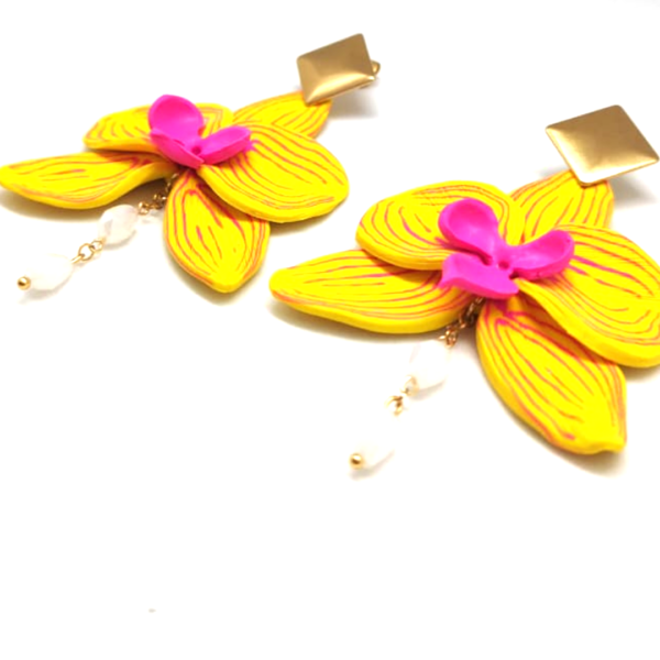 Aretes aurora - Image 4